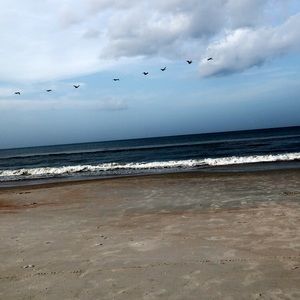 FLASH SALE!! BUY TWO, GET ONE FREE!💛